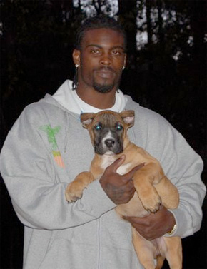 Alright Fine, One Dog Photo